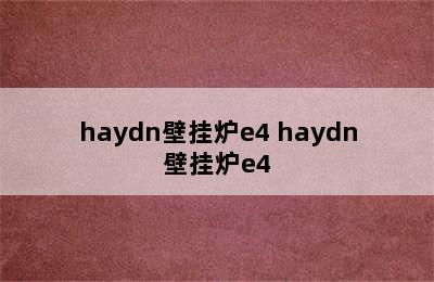 haydn壁挂炉e4 haydn壁挂炉e4